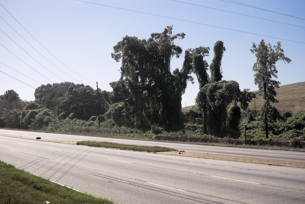 Daniel A. Echevarria Photography | A-Town Down Pt. 2: Moreland Avenue